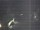 Webcam in Hessisch Oldendorf, 7.5 mi away