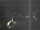 Webcam in Hessisch Oldendorf, 10.8 mi away