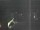 Webcam in Hessisch Oldendorf, 9.9 mi away