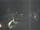 Webcam in Hessisch Oldendorf, 10.8 mi away