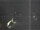 Webcam in Hessisch Oldendorf, 25.7 km