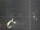 Webcam in Hessisch Oldendorf, 9.9 mi away
