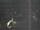 Webcam in Hessisch Oldendorf, 10.8 mi away