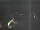 Webcam in Hessisch Oldendorf, 9.9 mi away