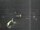 Webcam in Hessisch Oldendorf, 9.9 mi away