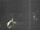 Webcam in Hessisch Oldendorf, 9.9 mi away