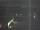 Webcam in Hessisch Oldendorf, 9.9 mi away