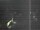 Webcam in Hessisch Oldendorf, 9.9 mi away