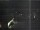 Webcam in Hessisch Oldendorf, 9.9 mi away