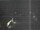 Webcam in Hessisch Oldendorf, 10.8 mi away