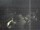 Webcam in Hessisch Oldendorf, 9.9 mi away