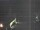 Webcam in Hessisch Oldendorf, 15.5 mi away