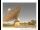 Webcam in Parkes, 909.7 km entfernt