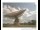 Webcam in Parkes, 424.1 km entfernt