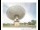 Webcam in Parkes, 1356.7 km