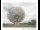 Webcam in Parkes, 112.9 mi away