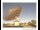 Webcam in Parkes, 115.6 mi away