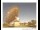 Webcam in Parkes, 299.6 km