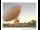 Webcam in Parkes, 114.9 mi away