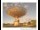 Webcam in Parkes, 297.8 km