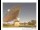 Webcam in Parkes, 350.5 mi away