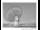 Webcam in Parkes, 114.9 mi away