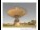Webcam in Parkes, 325.1 km entfernt