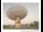 Webcam in Parkes, 292.7 km entfernt