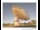 Webcam in Parkes, 338.2 km entfernt