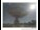 Webcam in Parkes, 186.6 mi away