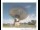 Webcam in Parkes, 300.2 km entfernt