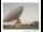 Webcam in Parkes, 168.3 mi away