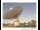 Webcam in Parkes, 436.1 km entfernt