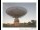 Webcam in Parkes, 338.2 km entfernt