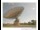 Webcam in Parkes, 437.6 km