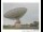 Webcam in Parkes, 558.3 km entfernt
