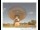 Webcam in Parkes, 1017.4 km