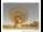 Webcam in Parkes, 338.2 km entfernt