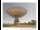 Webcam in Parkes, 294.4 km entfernt