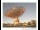 Webcam in Parkes, 350.5 mi away