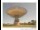 Webcam in Parkes, 292.7 km entfernt