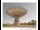 Webcam in Parkes, 297.8 km entfernt