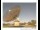 Webcam in Parkes, 916.3 km entfernt
