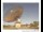 Webcam in Parkes, 437.6 km entfernt