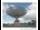 Webcam in Parkes, 909.7 km entfernt