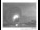 Webcam in Parkes, 113.6 mi away
