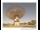 Webcam in Parkes, 110.6 mi away