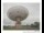 Webcam in Parkes, 910.3 km entfernt