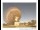 Webcam in Parkes, 113 mi away