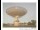 Webcam in Parkes, 293 km